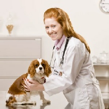 crestwood acres kennels dog breeder vet