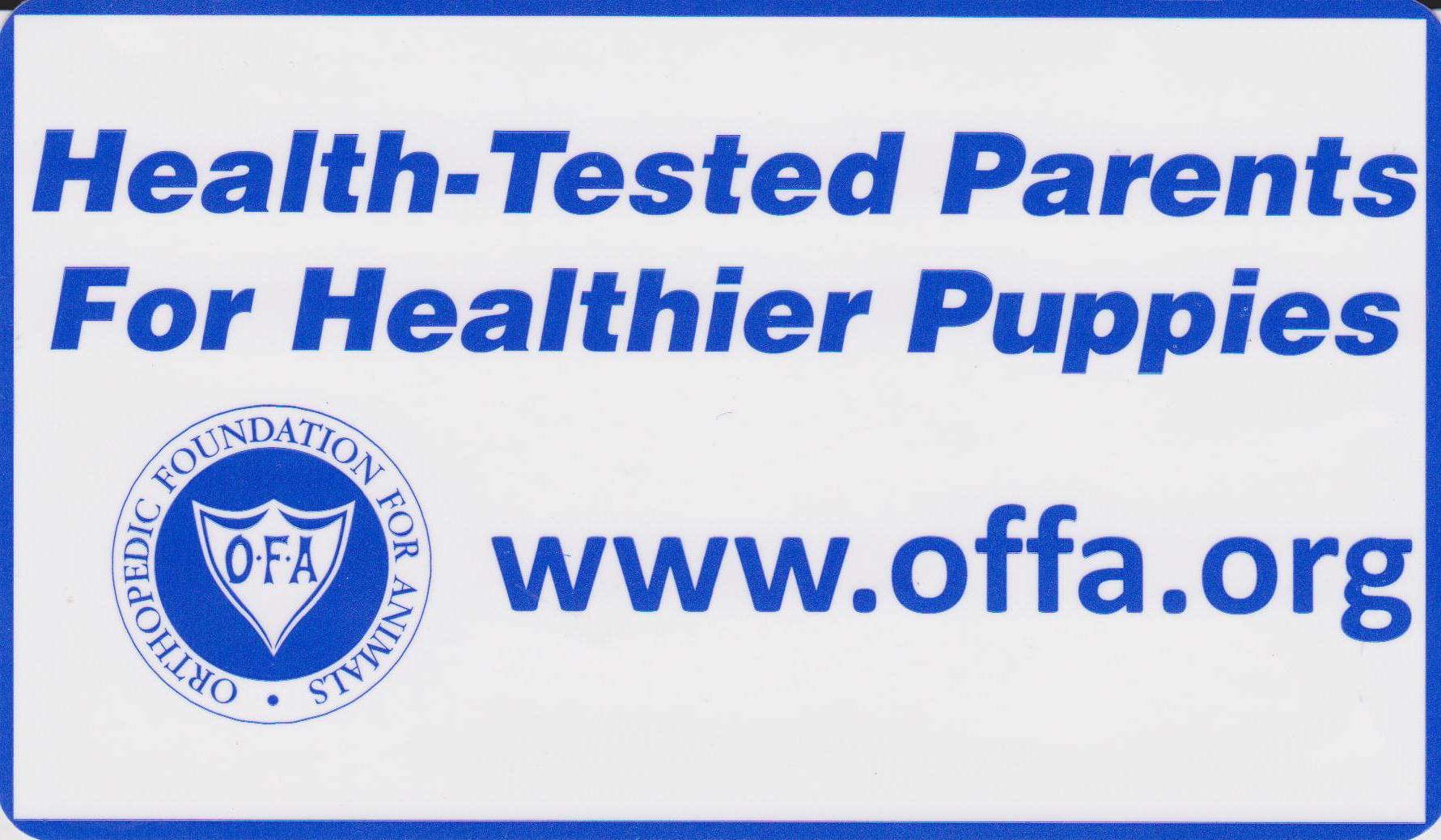 Judy Maassen dog breeder ofa testing