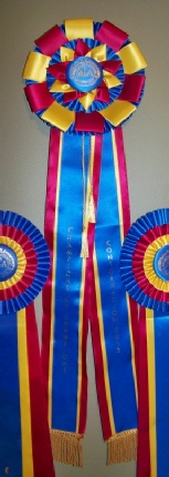 Darryl Butler is a professional Dog breeder, handler, and Dog Show Judge locacted in Harrisburg, Pennsylvania. pic11