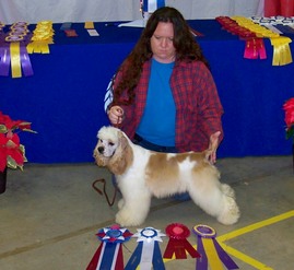 Tina, schumer, dog, breeder, aca, show, tina-schumer, dog-breeder, aca-dog-show, pic07