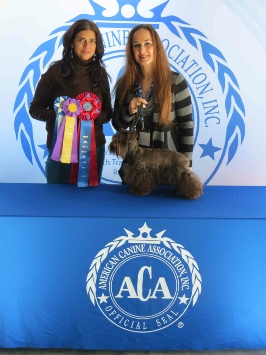 ajs angels kennels dog breeder show1