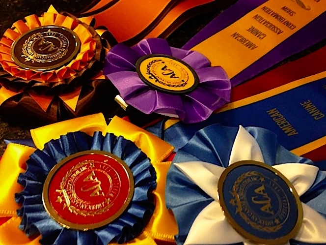 Lewis Bloom Professional Dog Breeder Dog Show Ribbons