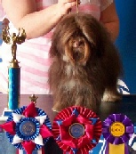 Marla Campbell dog breeder pic