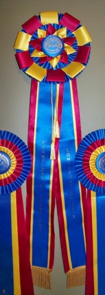 Marla Campbell dog breeder ribbons1