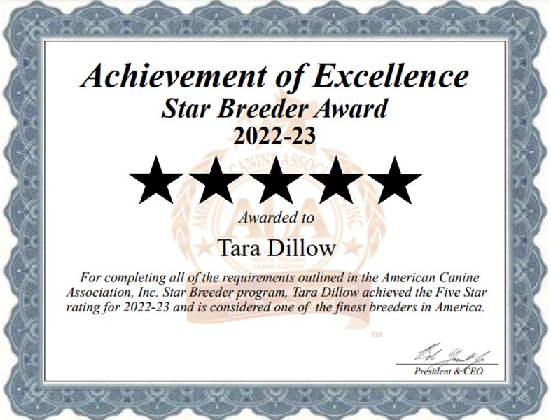 tara, dillow, dog, breeder, star, certificate, tara-dillow, dog-breeder, erei, ks, kansas, puppy, dog, kennels, mill, dog-show. puppymill, 5-star, ACA, ICA, registered, show handler, retrievers, usda, 48-A-2019, 48A2019